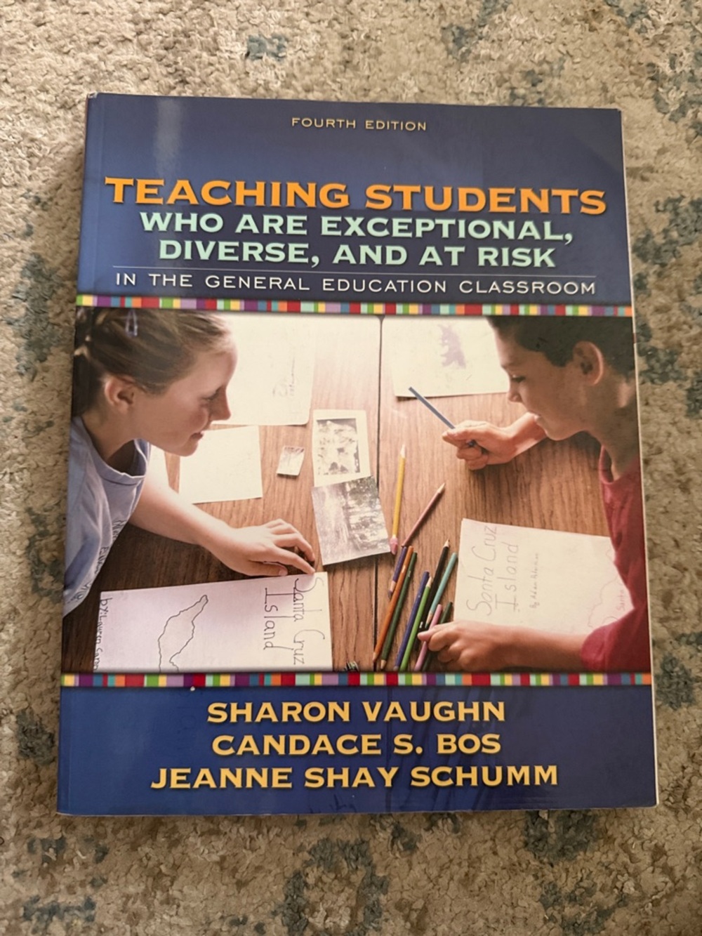 Teaching Students Who Are Exceptional, Diverse, and At Risk - Textbook - Blue
